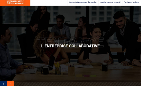 https://www.entreprise-collaborative.fr